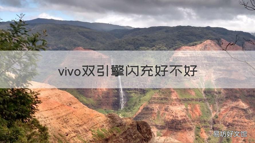 vivo双引擎闪充好不好 vivo闪充和双引擎闪充区别