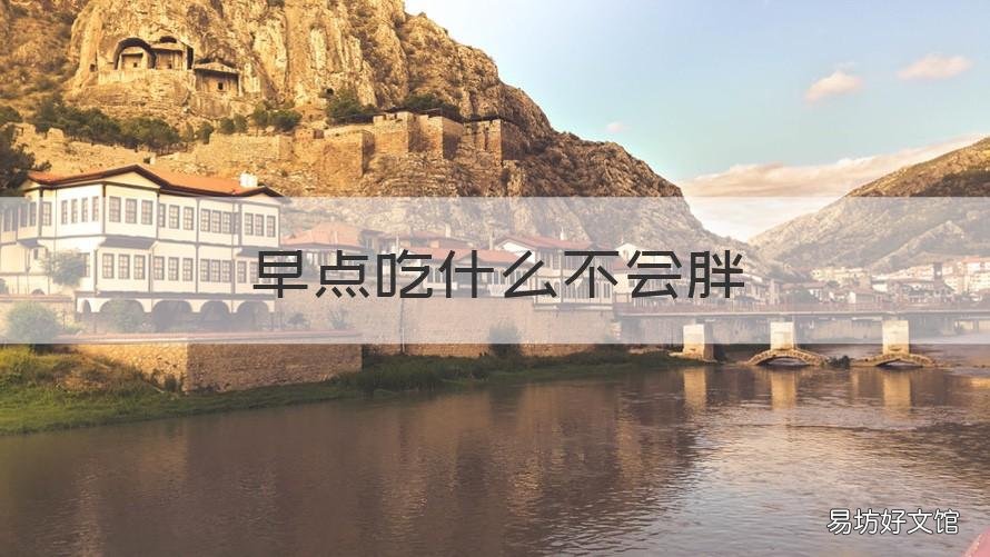 早点吃什么不会胖 早点吃什么不会胖人