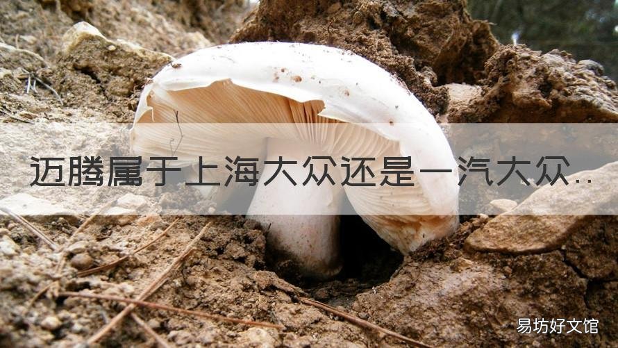 迈腾属于上海大众还是一汽大众 迈腾对应的上海大众