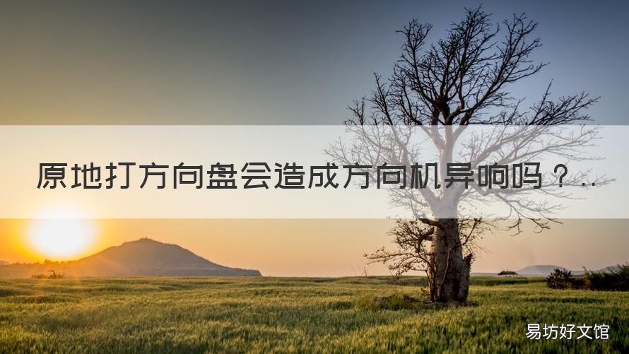 原地打方向盘会造成方向机异响吗 原地打方向对方向机没有影响
