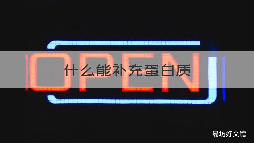 什么能补充蛋白质 什么能补充蛋白质和脂肪