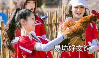 女人梦见抓鸡什么意思 梦见抓鸡什么意思?