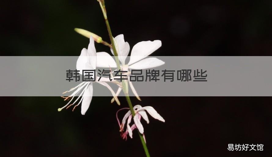 韩国汽车品牌有哪些 韩国汽车品牌有哪些名字