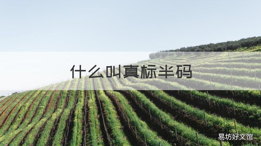 什么叫真标半码 真标带半码是什么级别的高仿