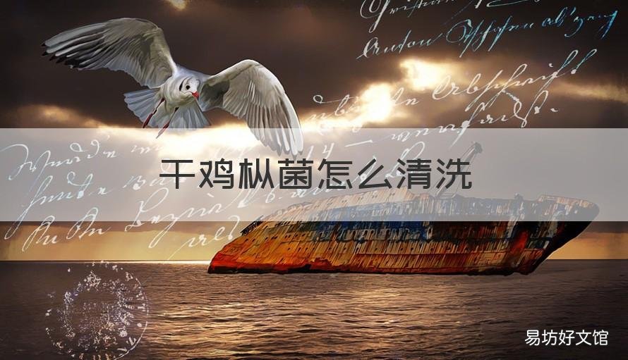 干鸡枞菌怎么清洗 干鸡枞菌怎么清洗视频