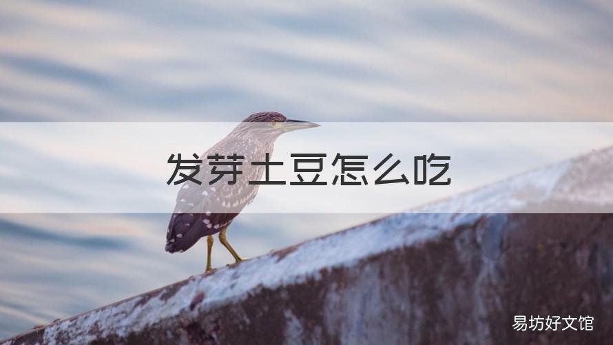 发芽土豆怎么吃 发芽土豆怎么吃好吃