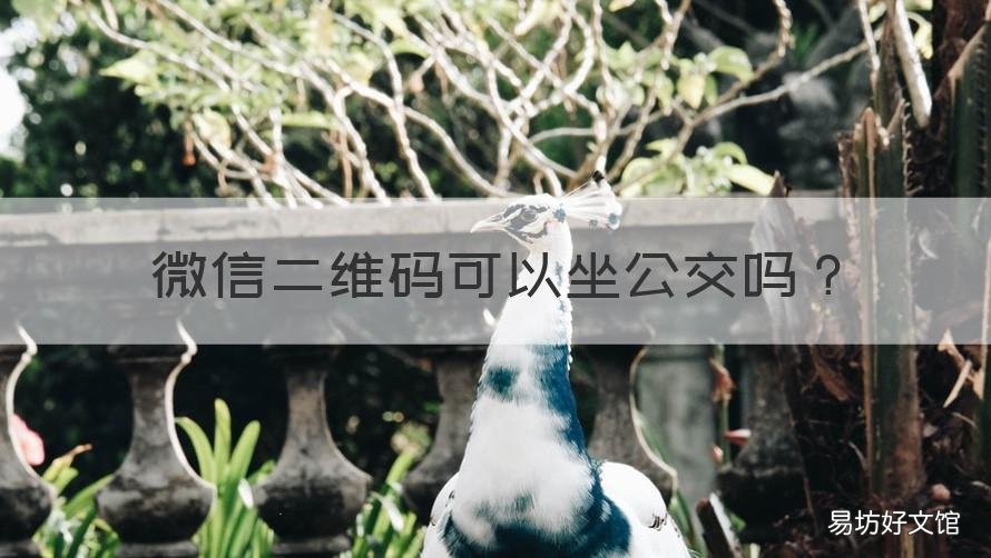 微信二维码可以坐公交吗 微信二维码可以座公交车吗