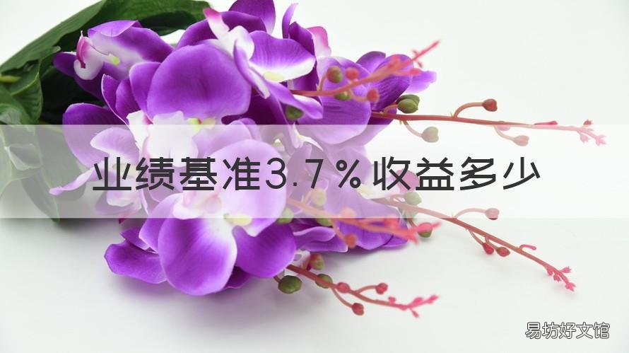 业绩基准3.7％收益多少 业绩比较基准3.7能收益多少