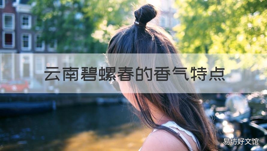 云南碧螺春的香气特点 碧螺春的香气是属于什么香气