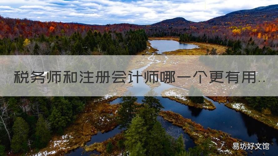 税务师和注册会计师哪一个更有用 税务师和注册会计师哪个更值得考