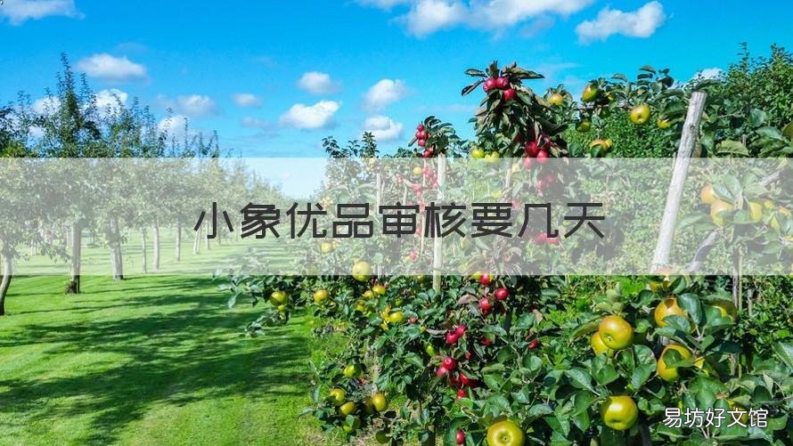 小象优品审核要几天 小象优品三天了还在审核