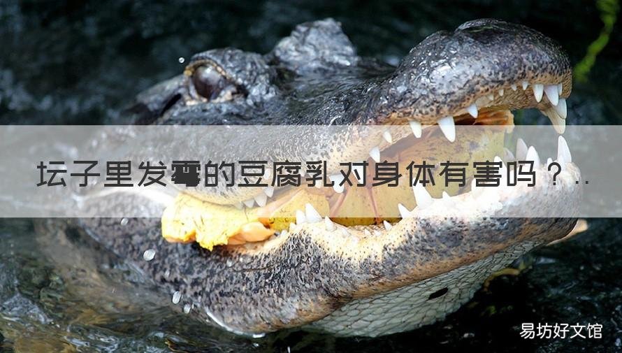坛子里发霉的豆腐乳对身体有害吗 乳豆腐的霉有毒吗