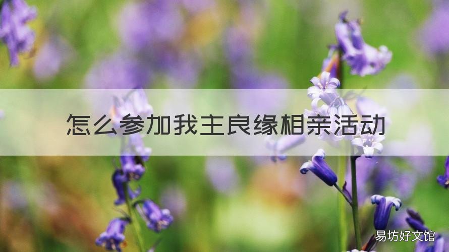 怎么参加我主良缘相亲活动 我主良缘线上活动