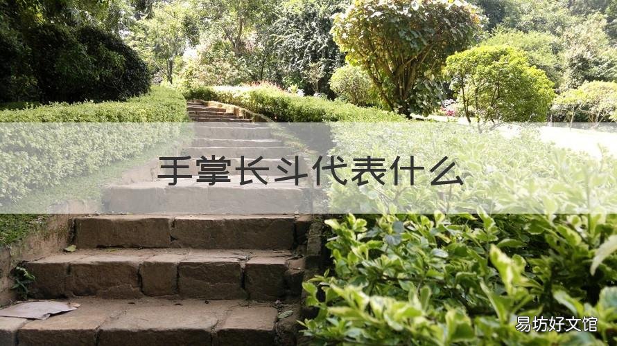 手掌长斗代表什么 手掌上有斗代表什么意思