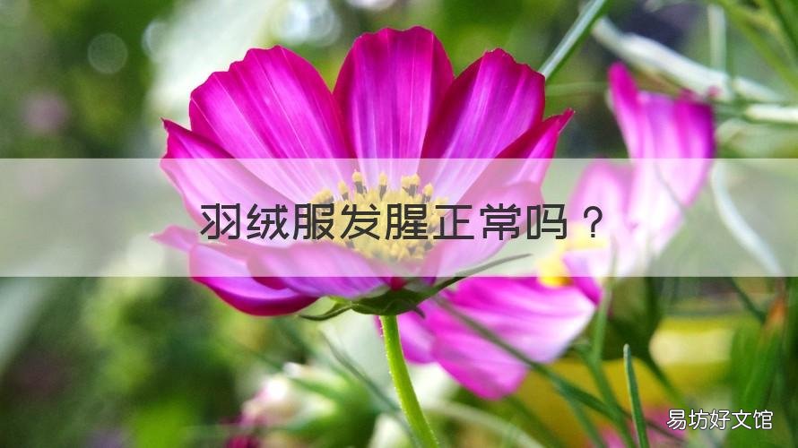 羽绒服发腥正常吗 羽绒服特别腥