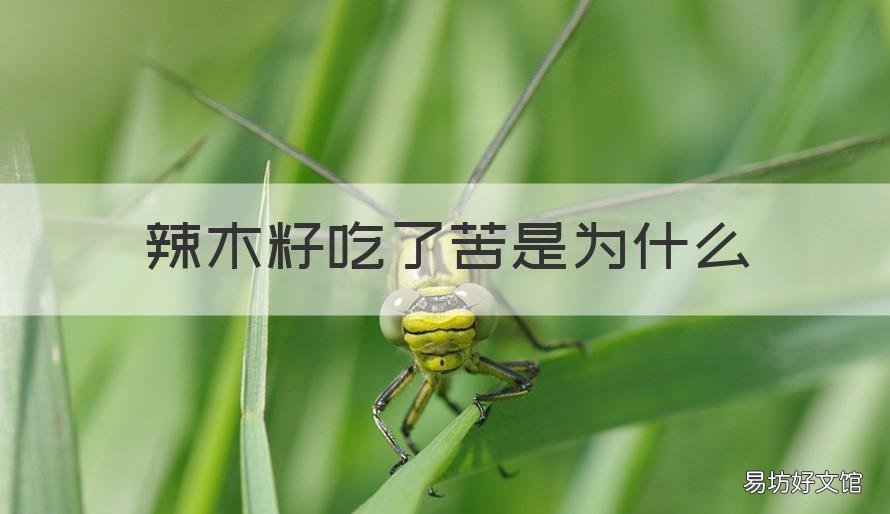 辣木籽吃了苦是为什么 辣木籽吃了发苦