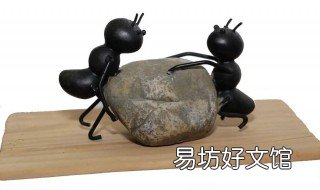 蚂蚁效应是什么意思 蚂蚁作用是什么