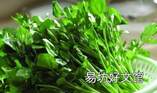 什么是豆瓣菜 什么是豆瓣菜图片