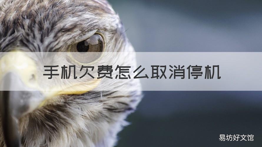 手机欠费怎么取消停机 手机欠费了怎么停机