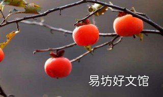 柿子的诗句 描写秋天柿子的诗句