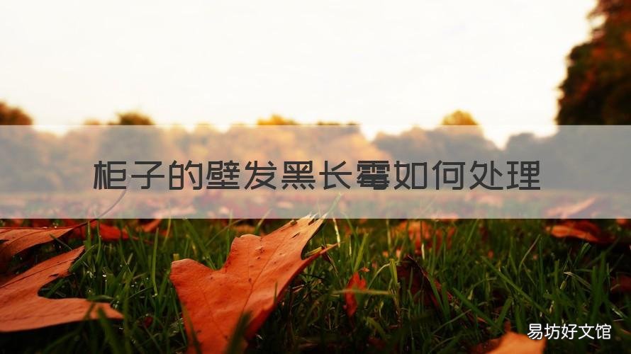 柜子的壁发黑长霉如何处理 衣柜发霉发黑怎么处理