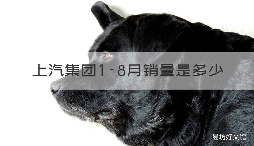 上汽集团1-8月销量是多少 上汽集团1-8月销量是多少台