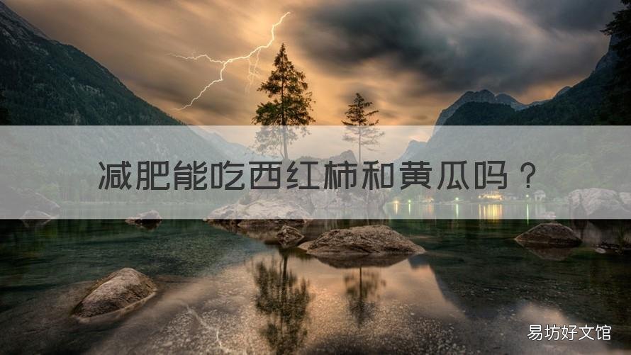 减肥能吃西红柿和黄瓜吗 减肥只吃西红柿和黄瓜可以吗