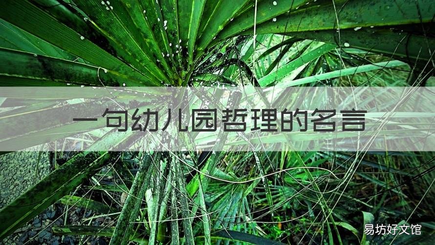 一句幼儿园哲理的名言 一句幼儿园哲理的名言有哪些