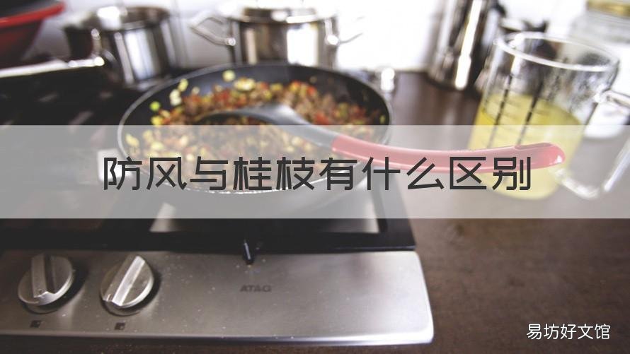 防风与桂枝有什么区别 桂枝有祛风的作用吗