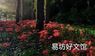彼岸花悲伤古风句子 彼岸花悲伤古风句子图片