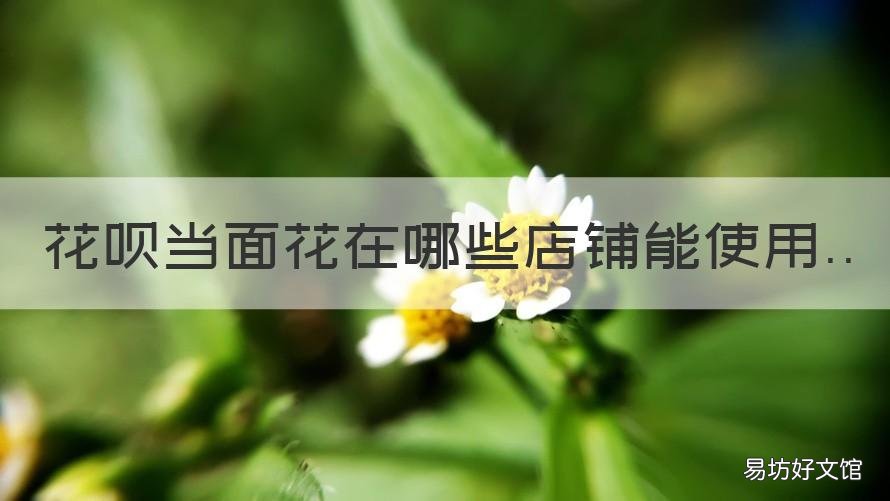 花呗当面花在哪些店铺能使用 花呗在店里可以用吗