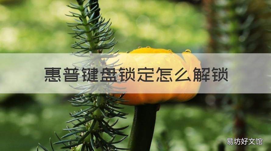 惠普键盘锁定怎么解锁 惠普键盘被锁了要如何解锁
