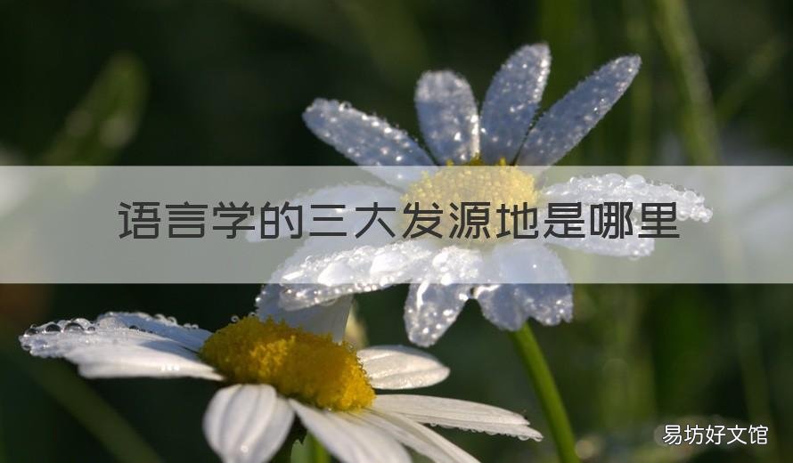 语言学的三大发源地是哪里 语言学三大起源地