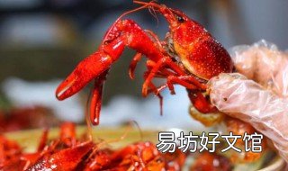 蝲蛄和小龙虾的区别 蝲蛄是不是小龙虾