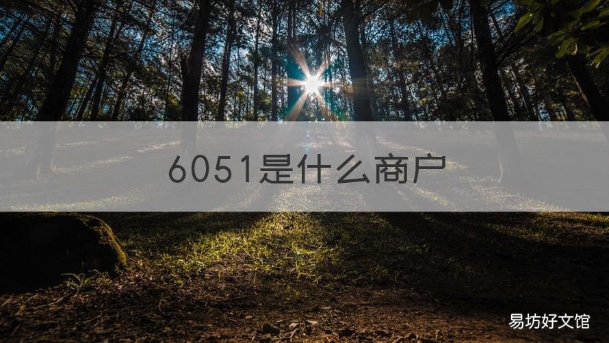 6051是什么商户 5621是什么商户