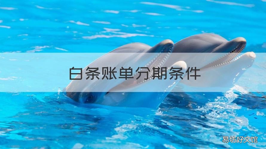 白条账单分期条件 白条账单分期是什么意思