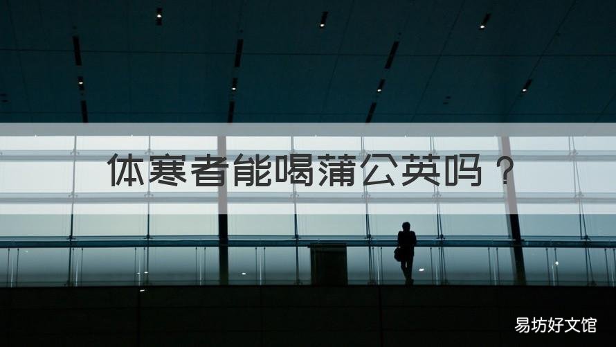 体寒者能喝蒲公英吗 寒凉体质的人可以喝蒲公英吗