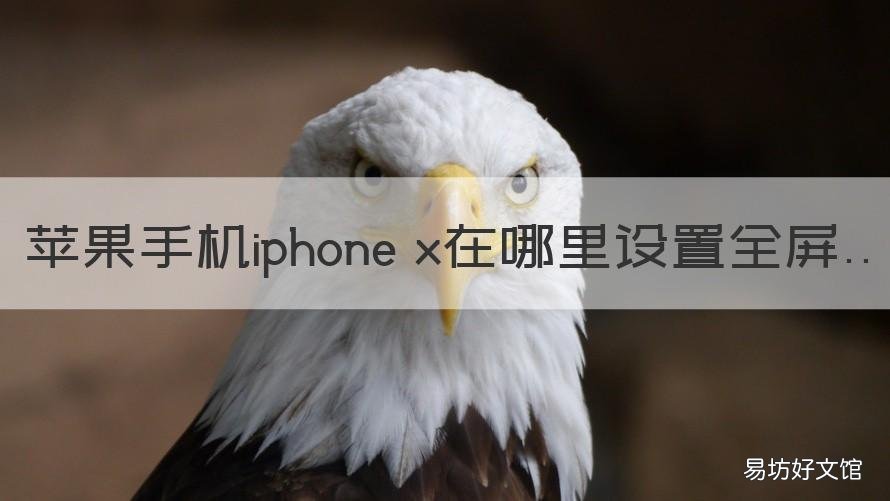 苹果手机iphone x在哪里设置全屏 苹果x照片怎么设置全屏