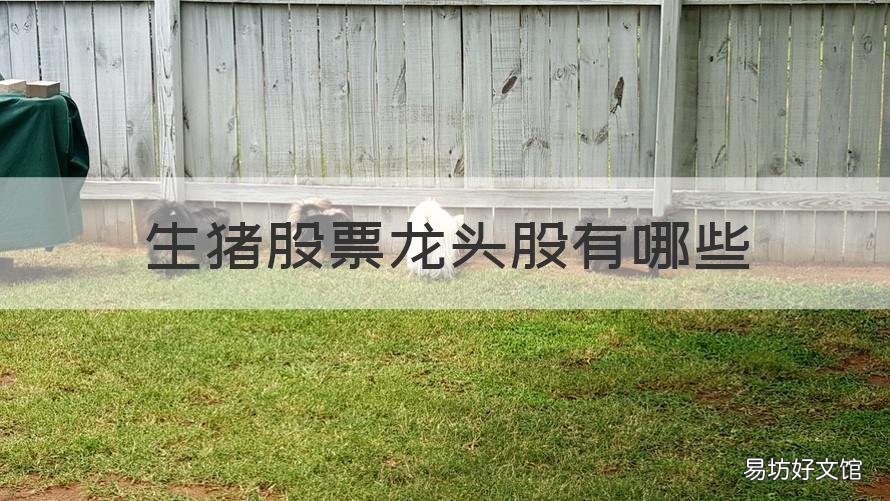 生猪股票龙头股有哪些 生猪a股龙头