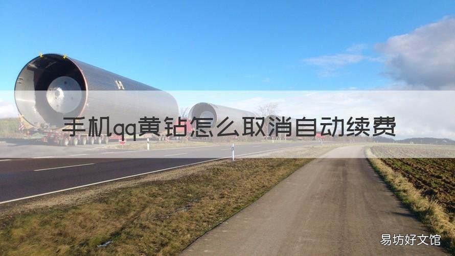 手机qq黄钻怎么取消自动续费 手机上怎么取消qq黄钻自动续费