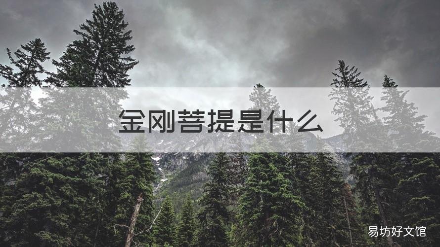 金刚菩提是什么 金刚菩提是什么味道