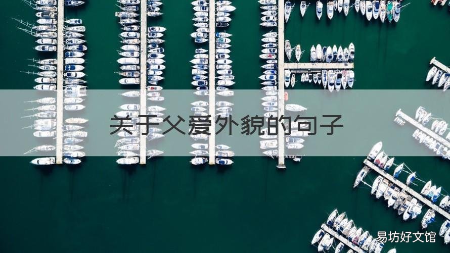 关于父爱外貌的句子 父爱的外貌描写