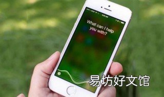 siri什么意思 sir什么意思中文翻译
