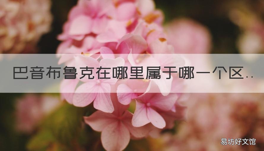 巴音布鲁克在哪里属于哪一个区 巴音布鲁克是