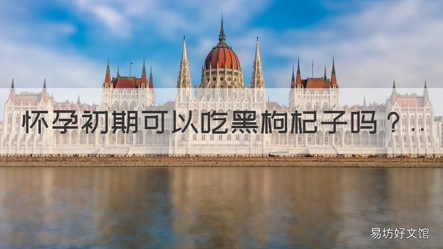 怀孕初期可以吃黑枸杞子吗 孕期能吃黑枸杞子吗