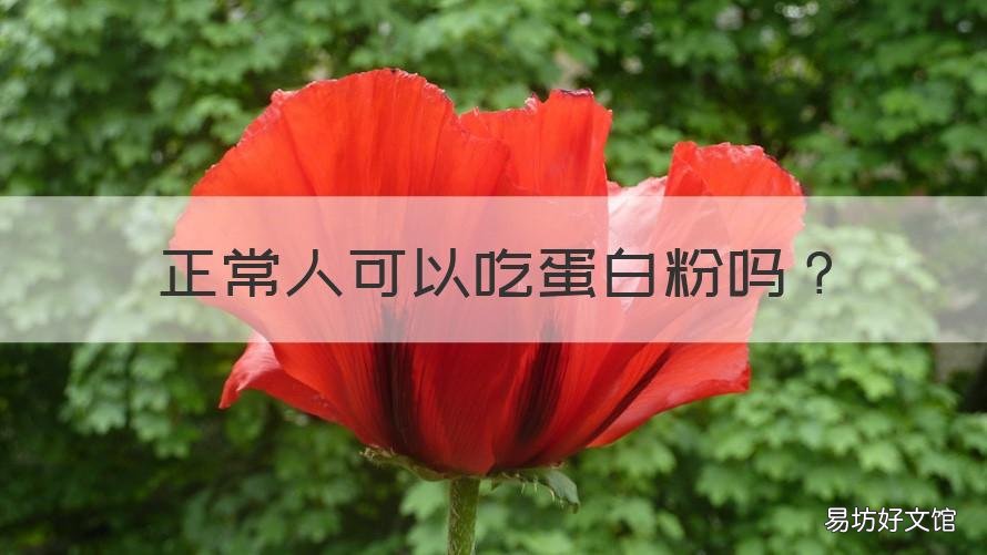 正常人可以吃蛋白粉吗 普通人能吃蛋白粉吗?