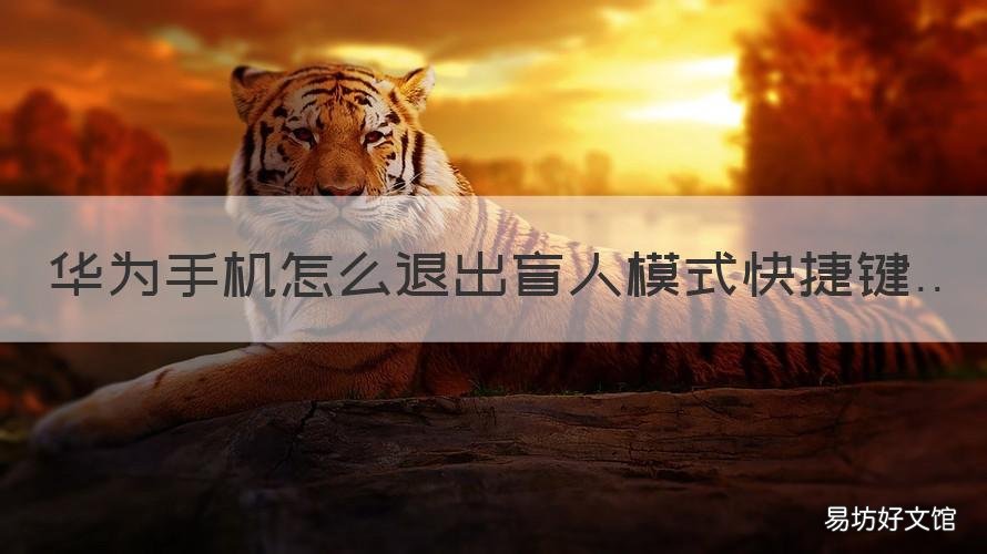 华为手机怎么退出盲人模式快捷键 华为手机快速退出盲人模式