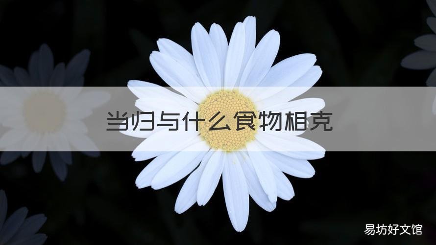 当归与什么食物相克 与当归相克的食物