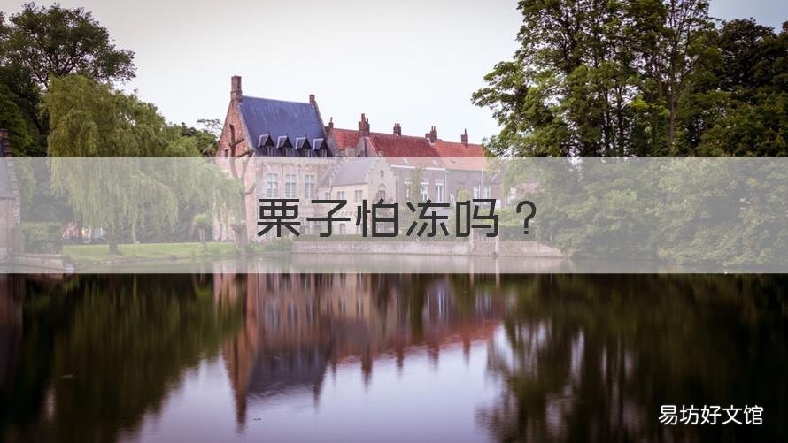 栗子怕冻吗 栗子怕不怕冻?