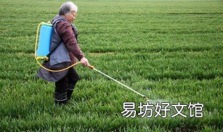 除草劑什么時候打最好 玉米除草劑什么時候打最好